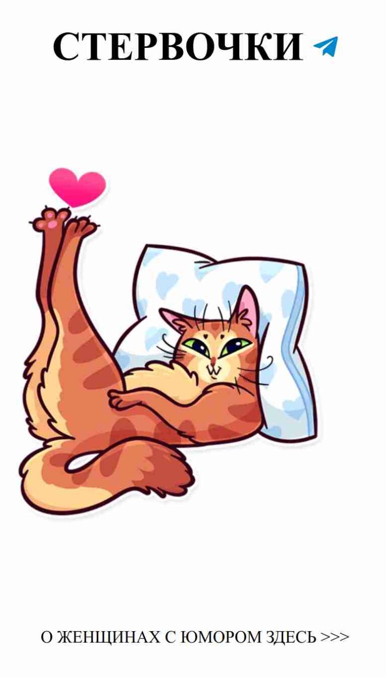 Когда коты мечтают о любви в объятиях подушки