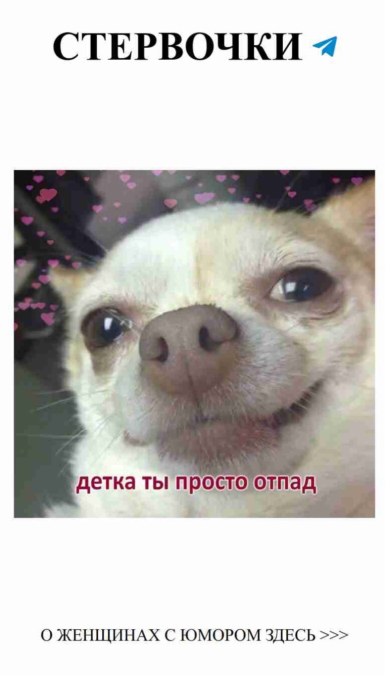 Собака с сердечками: милота и любовь в одном кадре