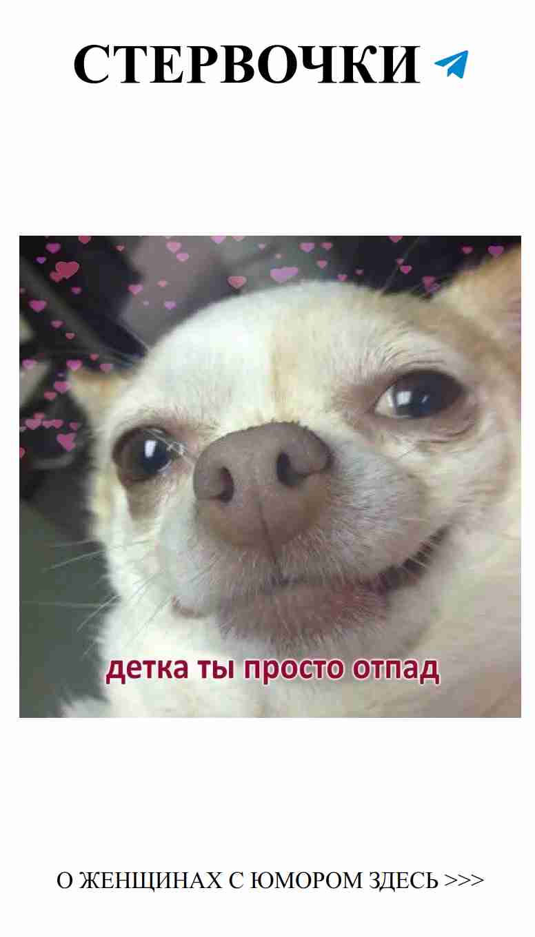 Собака с сердечками: милота и любовь в одном кадре