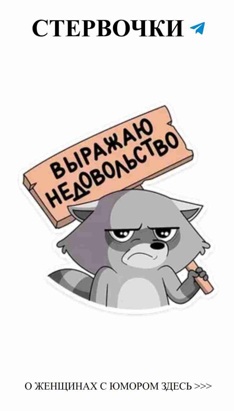 Стикер с енотом: смешные моменты о любви и дружбе