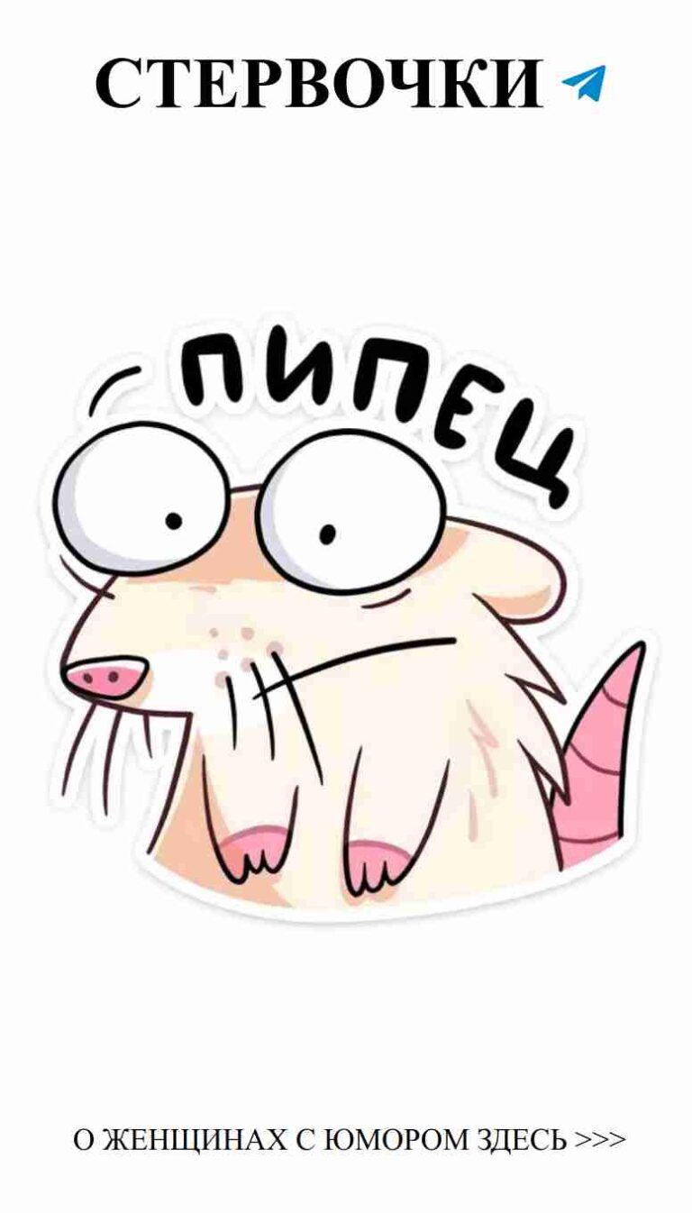 Любовь с юмором: прикольные наклейки для всех девушек