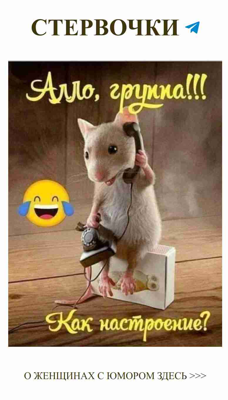 Смешные открытки о любви с крысой и забавным посланием