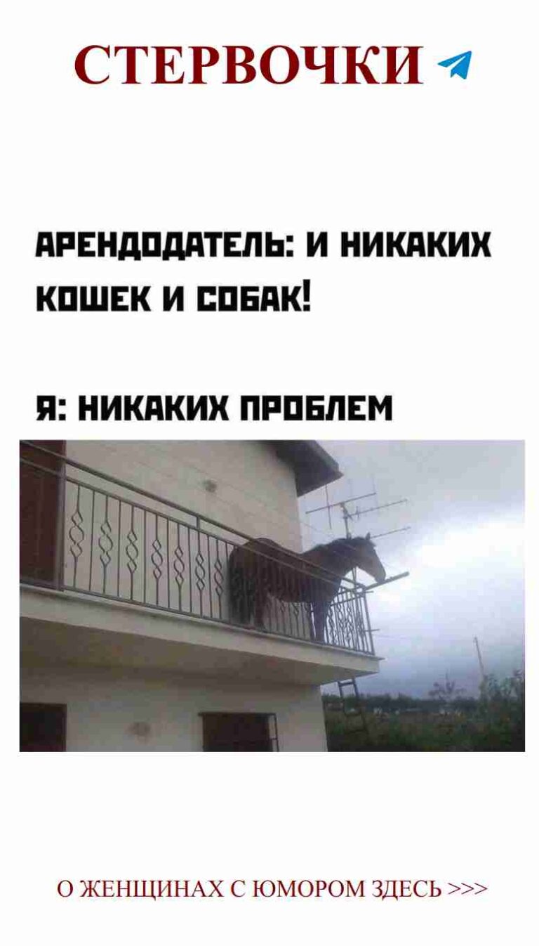 Конь на балконе: как любовь поднимает на высоту