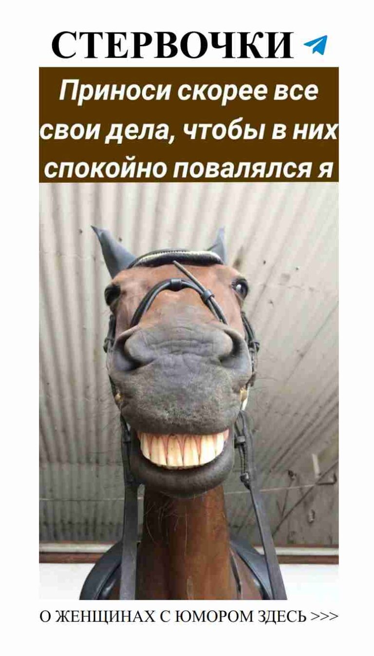 Когда твой конь слишком восторженно ждет любви