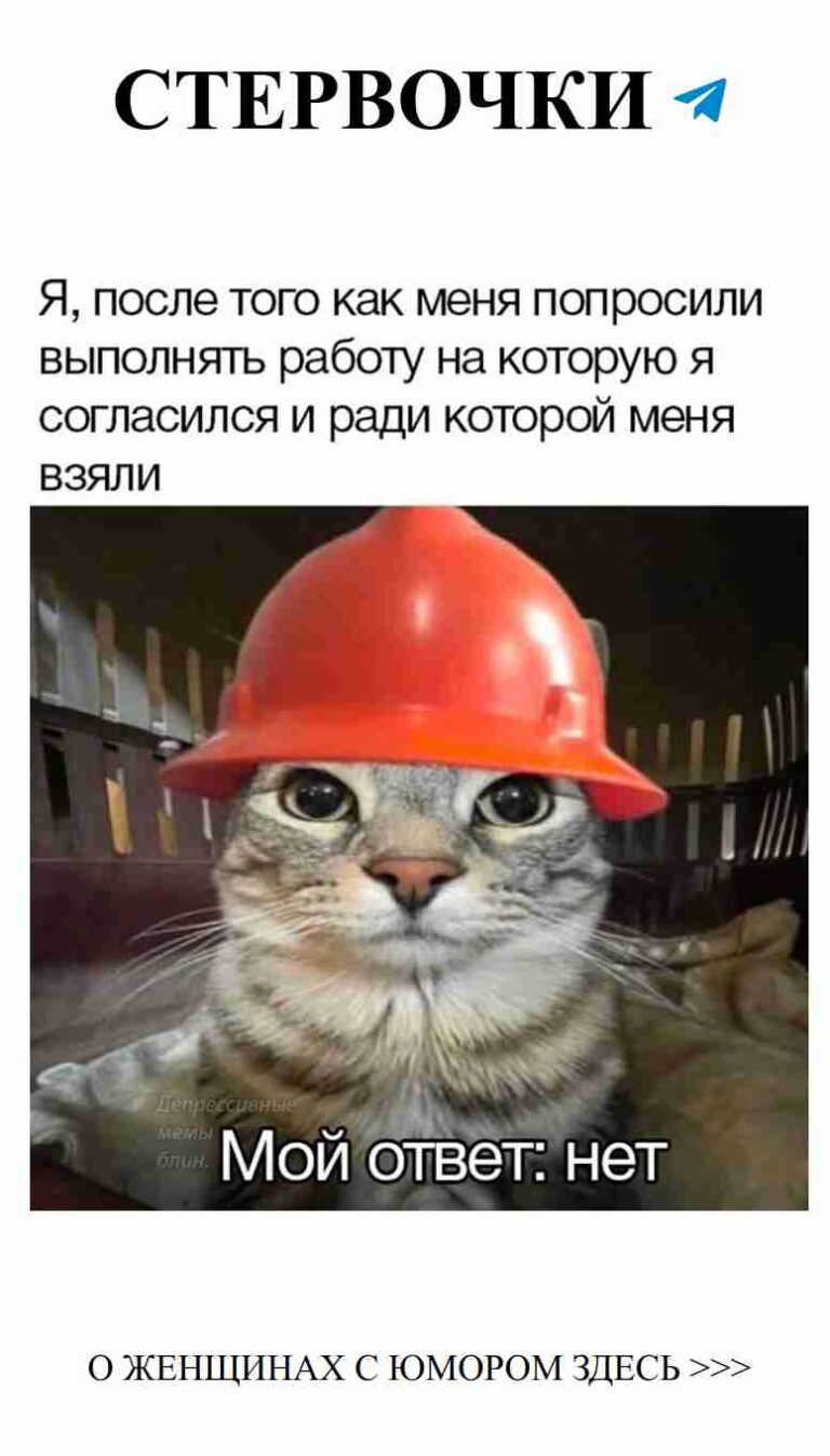 Котик в каске: романтичный и забавный момент