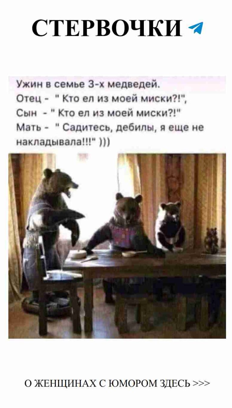 Три медвежонка за столом: любовь на мягких лапках