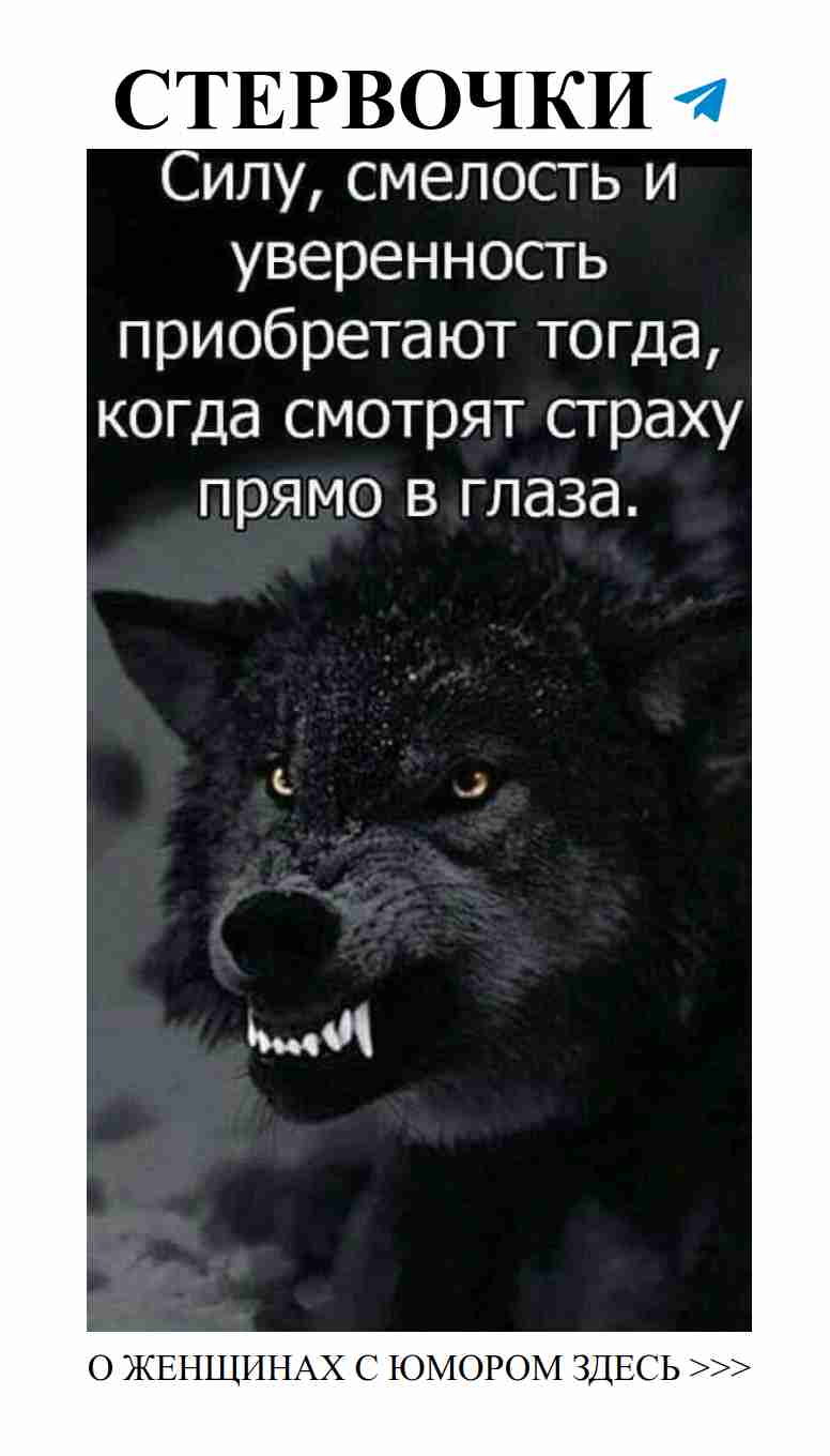 Смешные мысли о любви и жизни с волком в главной роли