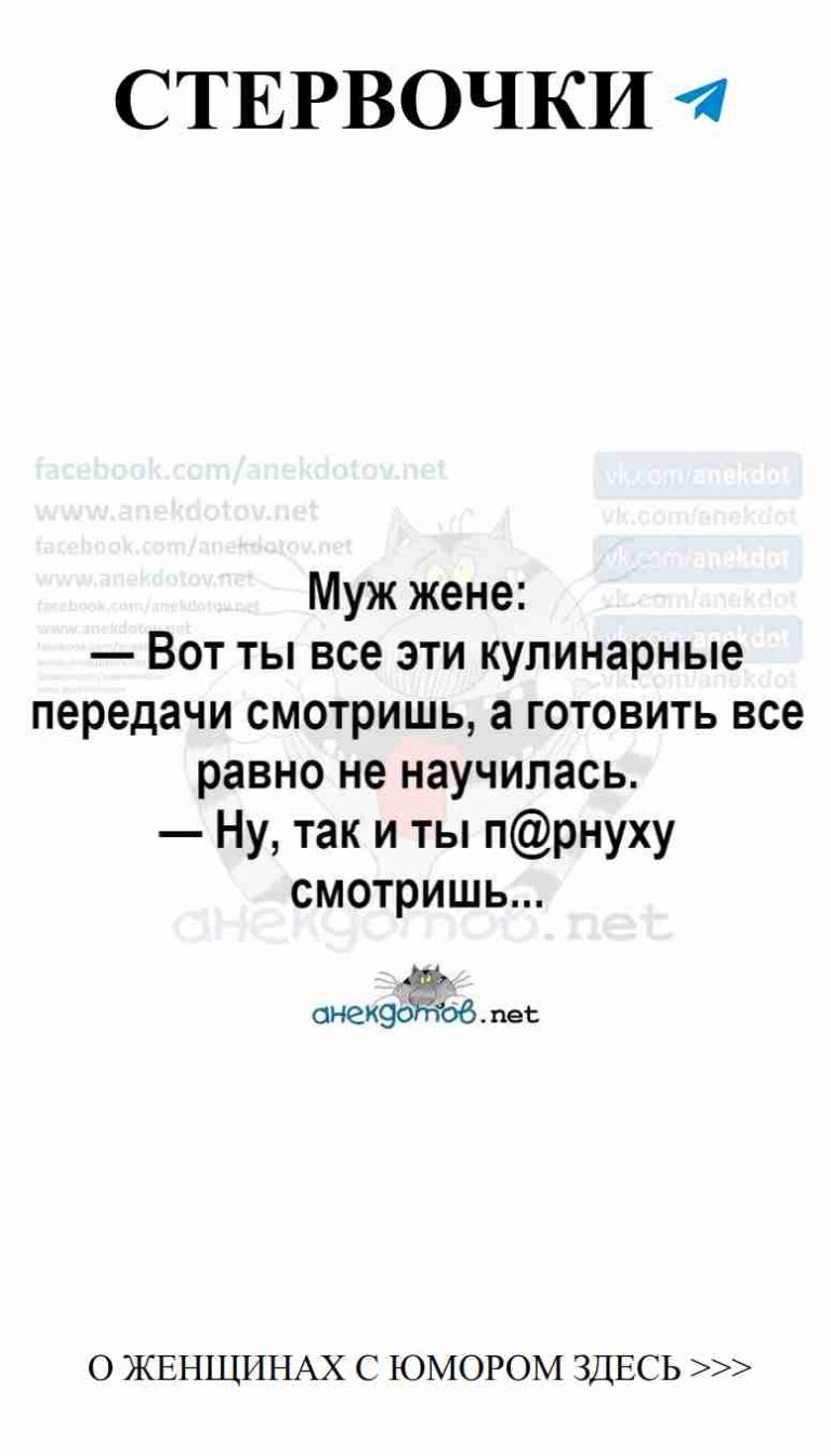 Любовь и коты: смех в каждой мимике