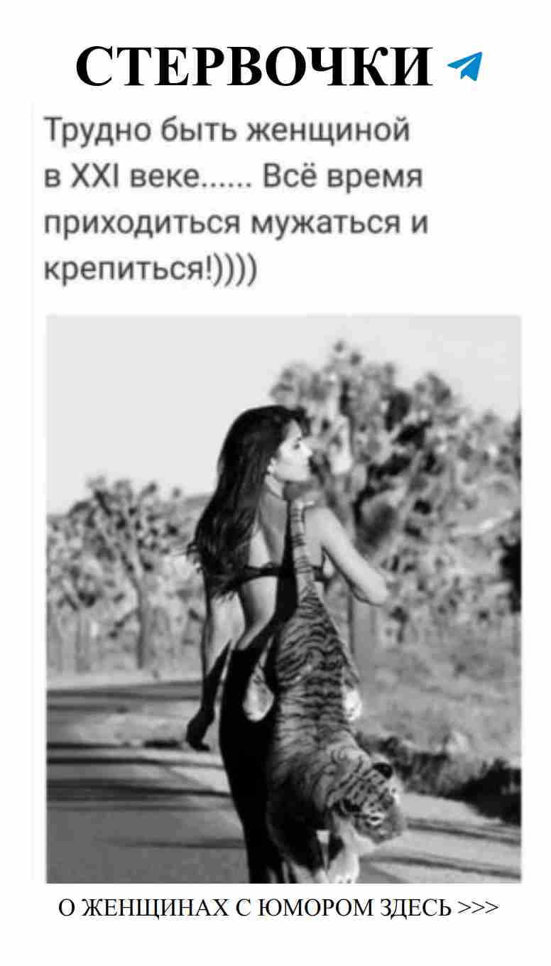 Девушка с кошкой на спине: любовь и юмор в жизни