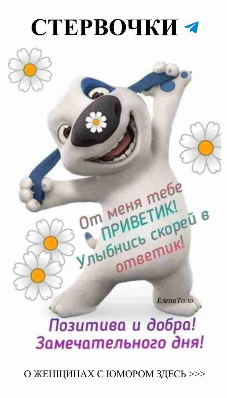 С любовью и юмором: веселый день с милыми подарками