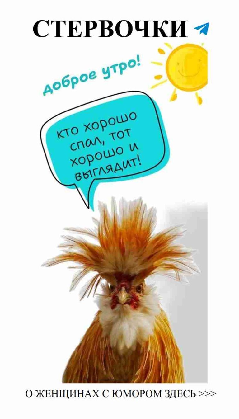 Когда любовь заставляет даже курицу быть стильной