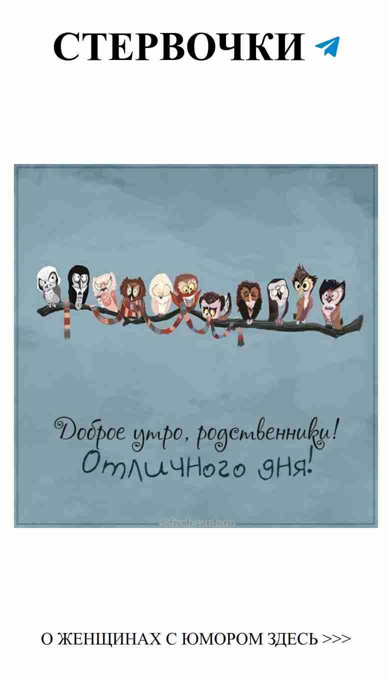 Очаровательные совы: веселые обои для романтического настроения