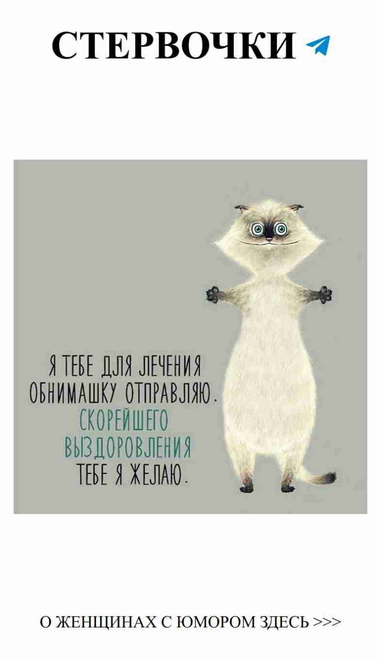 Морская сурикатка в ожидании позитива на каждый день