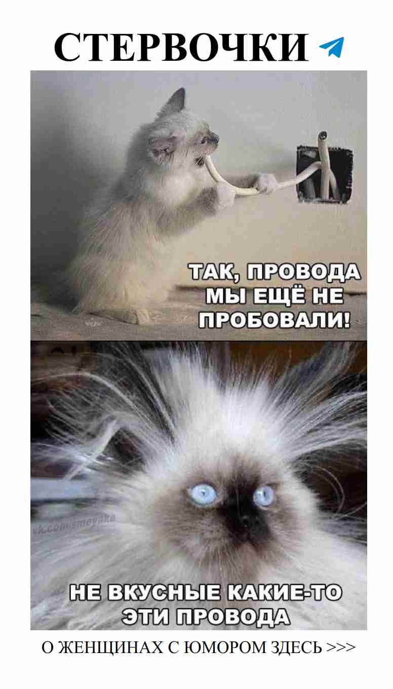 Любовь и смех: Какой у тебя юмор на выходных