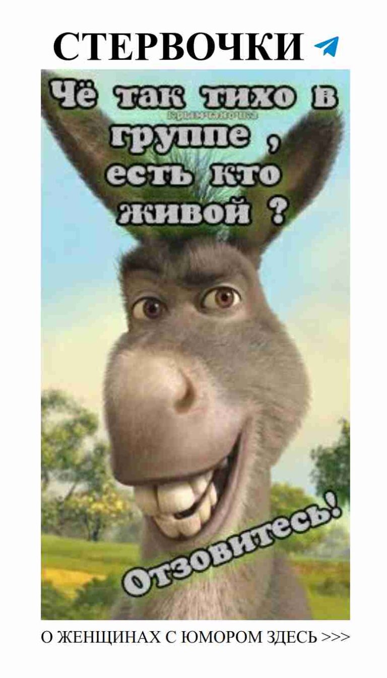 Свинья в любви: когда даже животные знают, что такое юмор