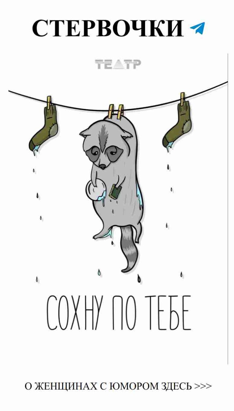 Котяра на бельевой веревке и забавные слова о любви