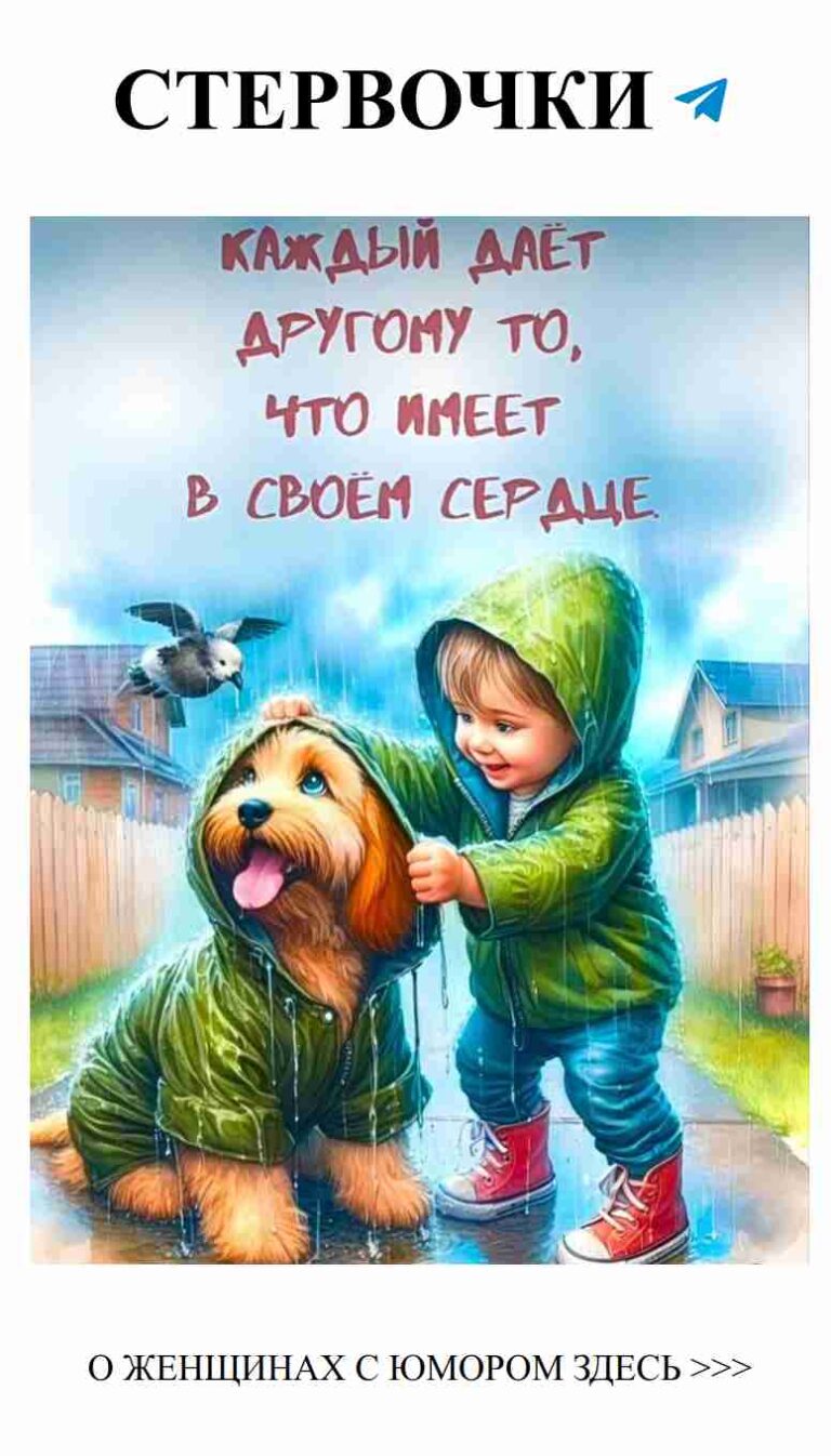 Мальчик, собака и зонт: как тогда не любить дождь
