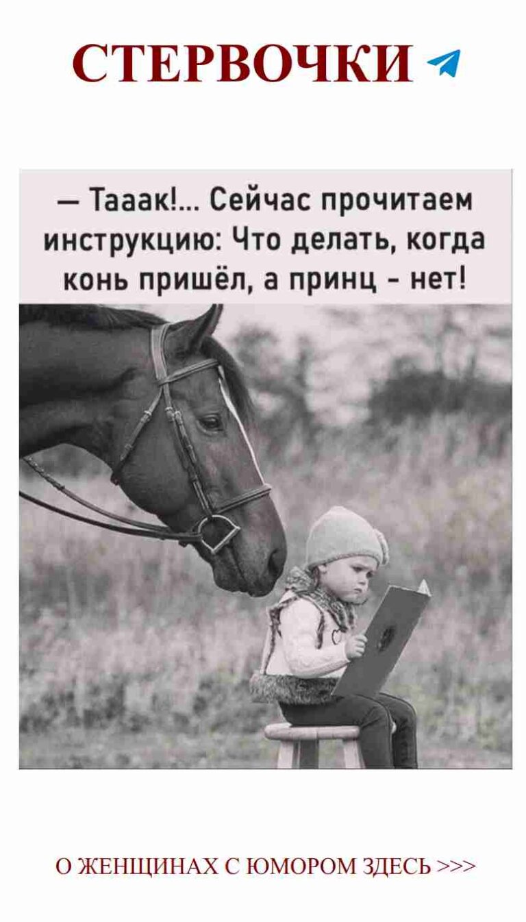 Любовь и смех: как большие лошади могут рассмешить нас