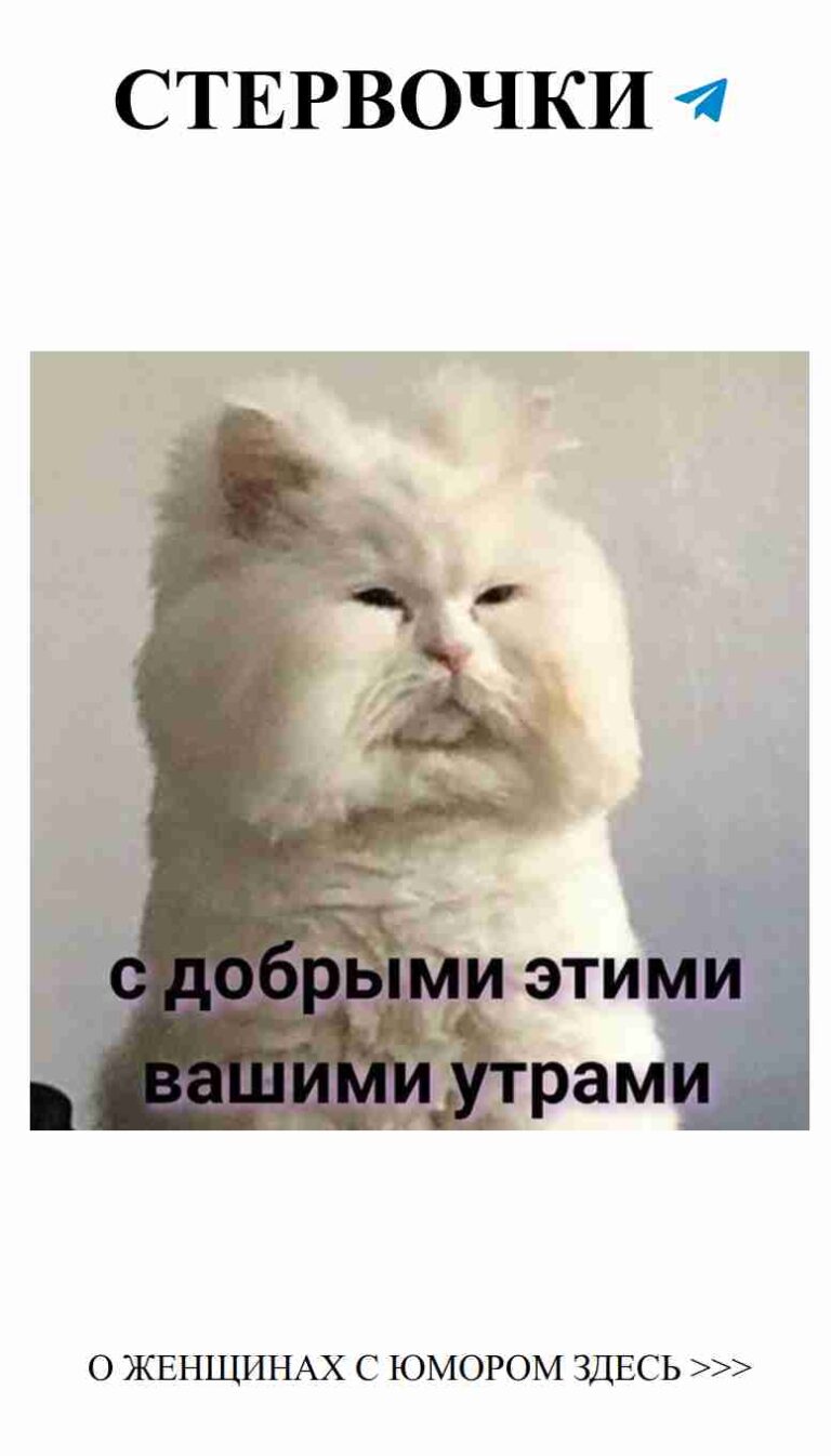 Белый котик на столе: любовь и мимими в каждом мгновении