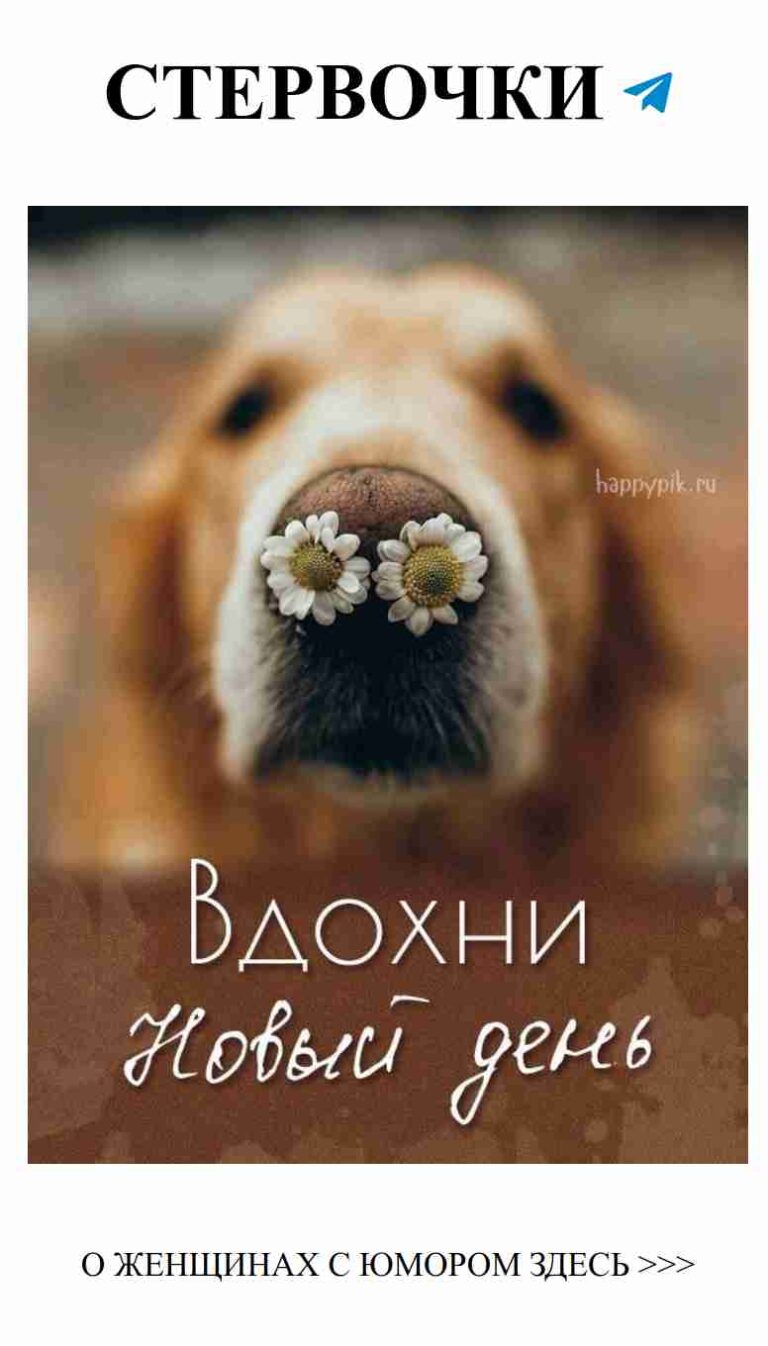 Собака с цветами поздравляет с Новым годом