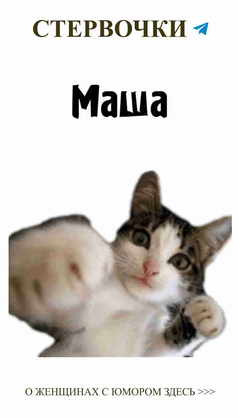 Кошка с сюрпризом: о любви в женском юморе