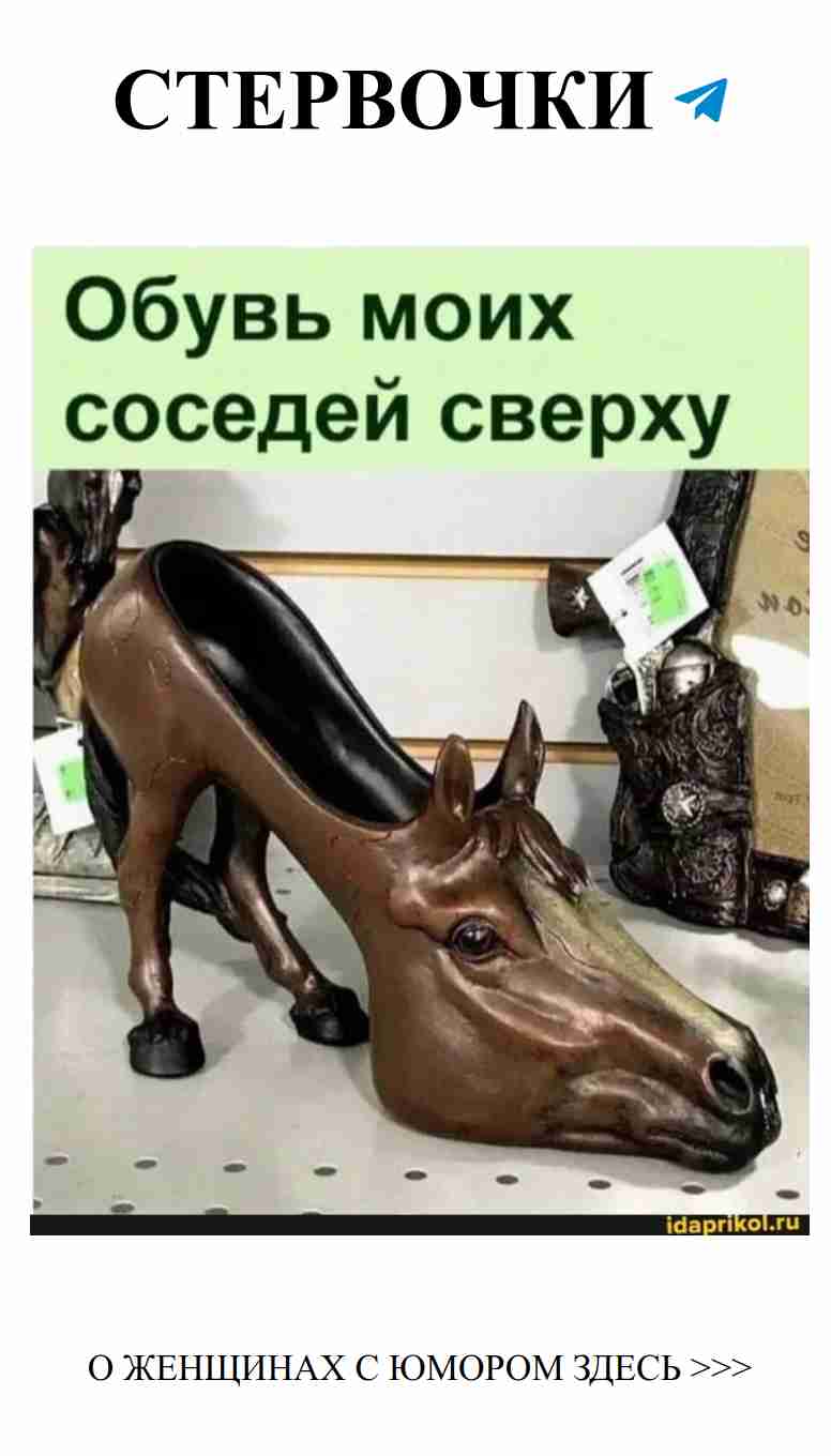 Лошадка на полке: любовь и юмор в каждом шаге