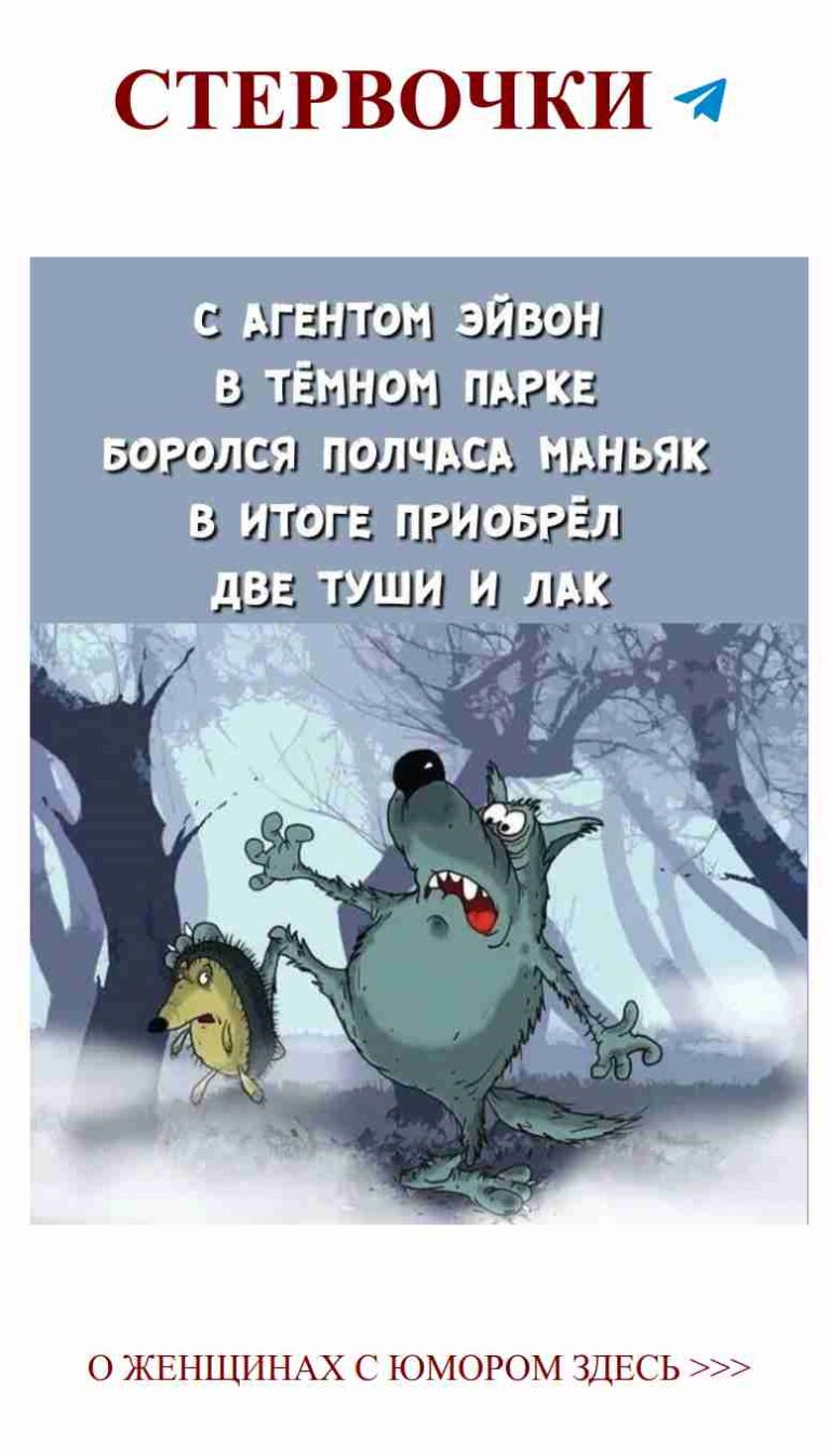 Летать в любви: как ёжики шутят о чувствах