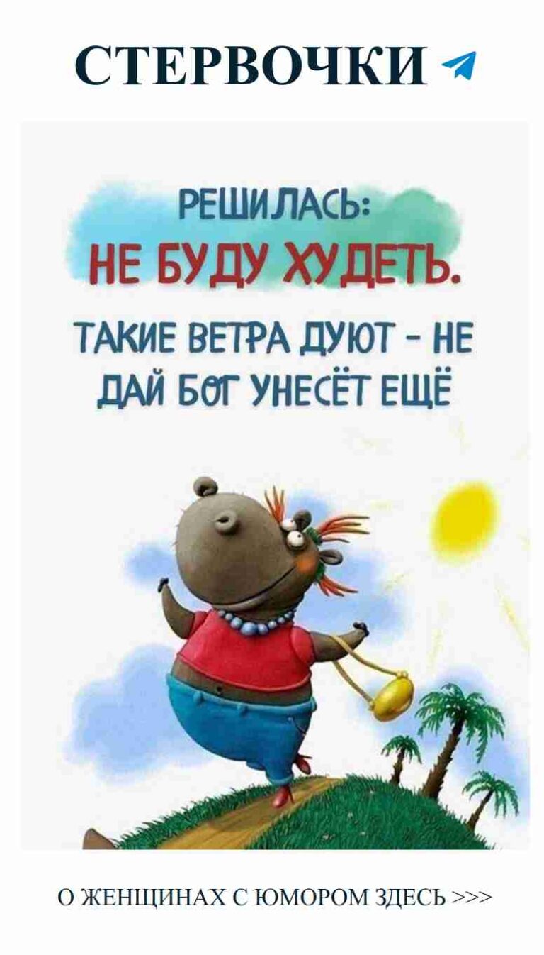 Веселые приключения мишки: любовь на высоте