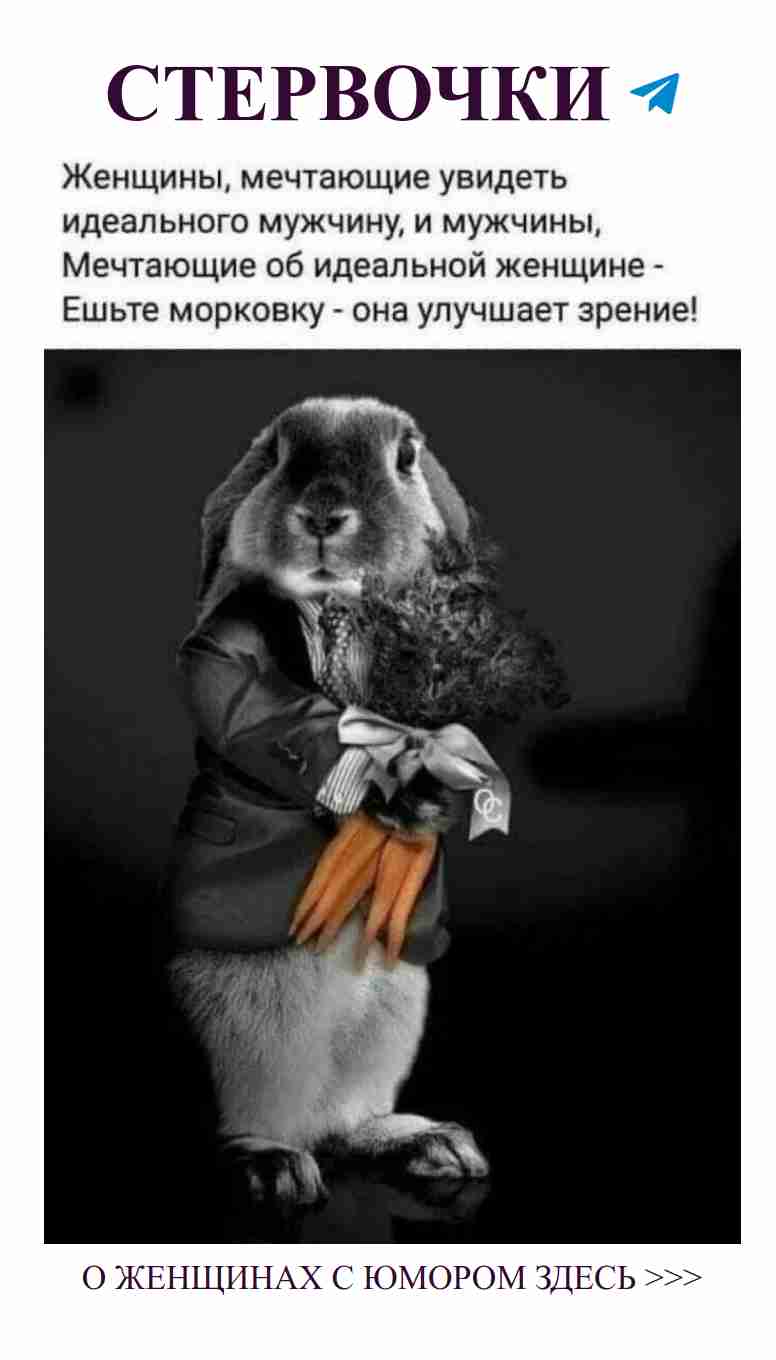 Когда жизнь дарит морковки, хотя ты не просила их