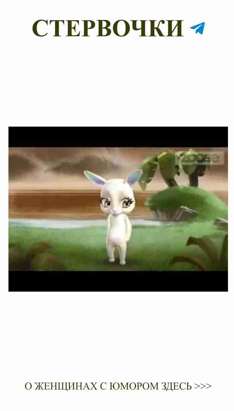 Смешной зайчик на зелёном поле о любви и веселье