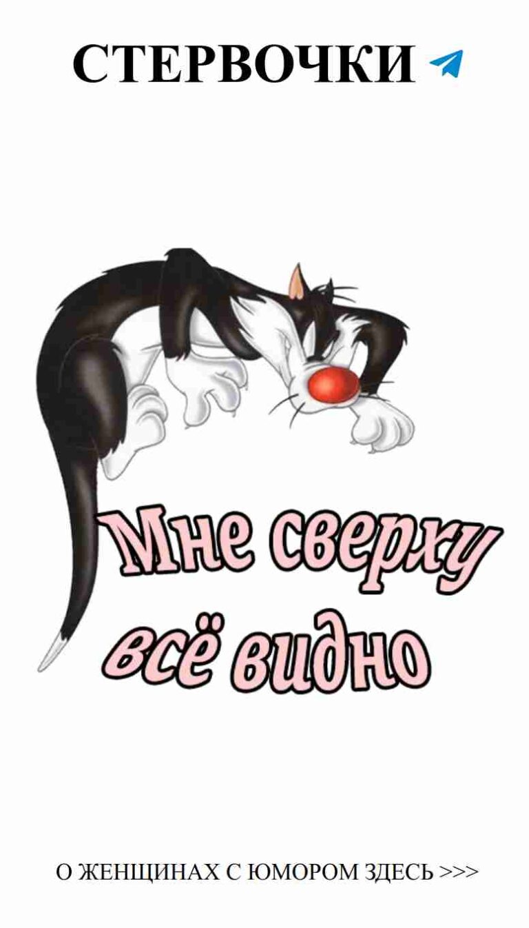 Когда кот в красном шаре, но всё равно не в любви