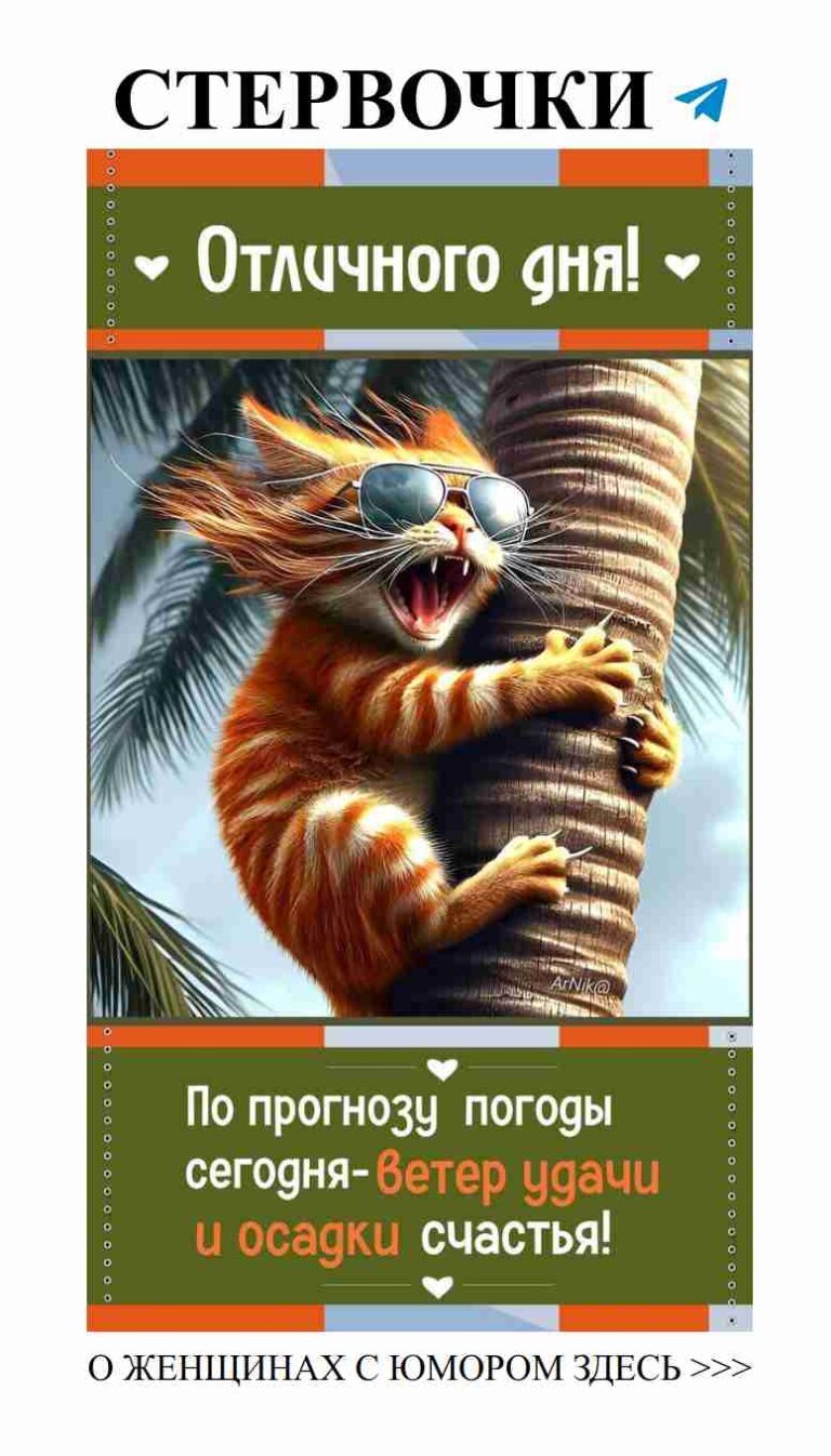 Любовь и смех: как найти свою вторую половинку с улыбкой