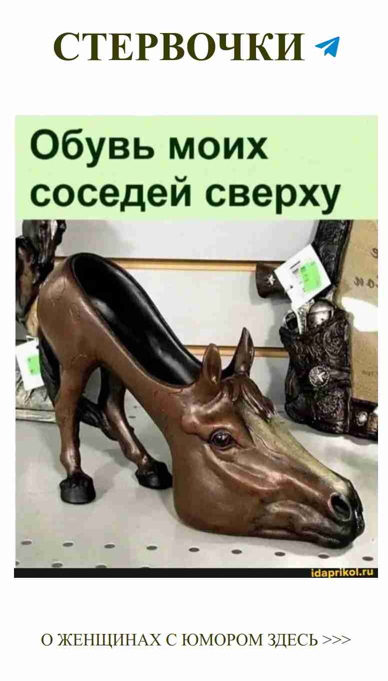 Когда любовь неожиданно стоит рядом с конем на полке