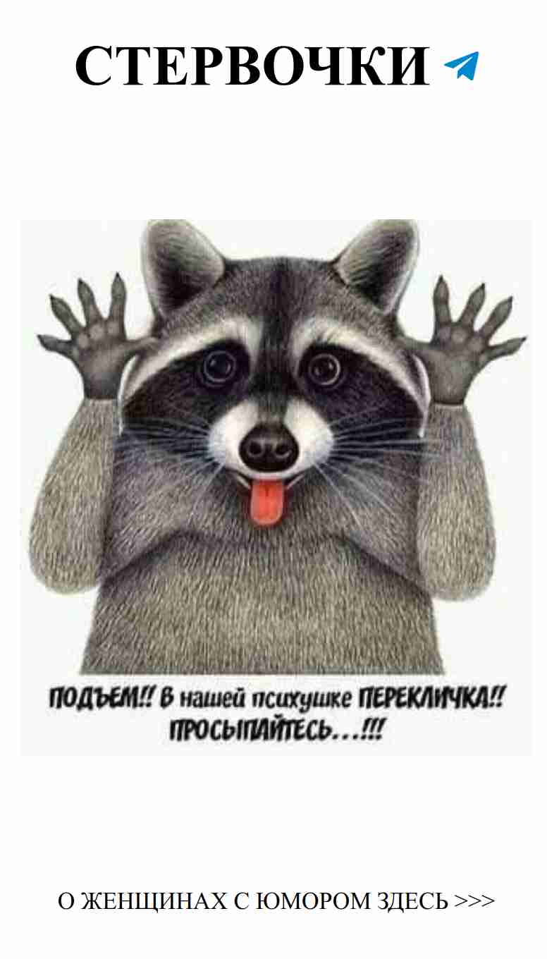 Когда ты слишком любишь своего кота, чтобы не смеяться