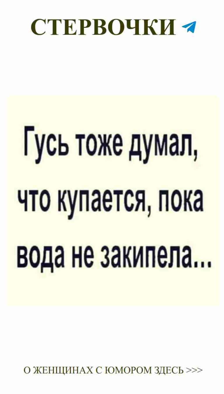 Смешные цитаты о любви для счастья и вдохновения