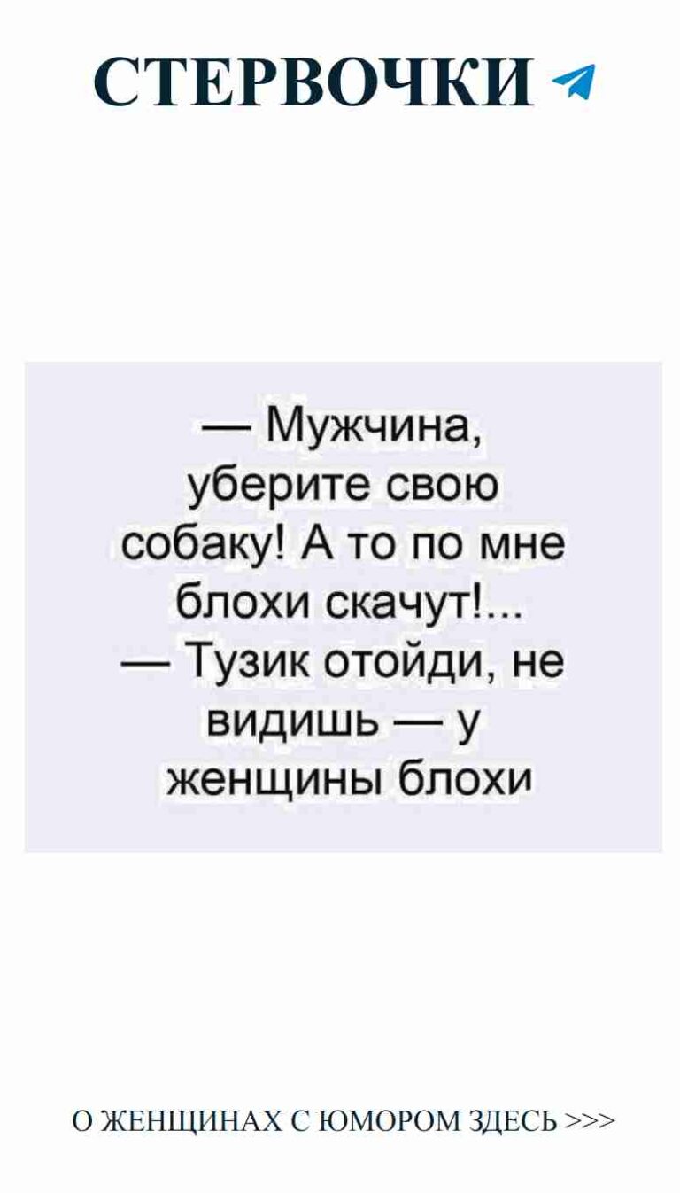 Смешные моменты о любви и собаках для девушек