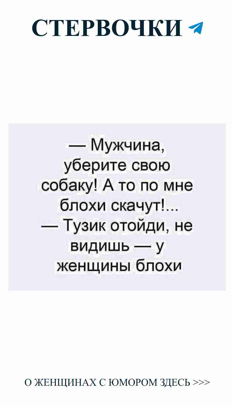 Смешные моменты о любви и собаках для девушек
