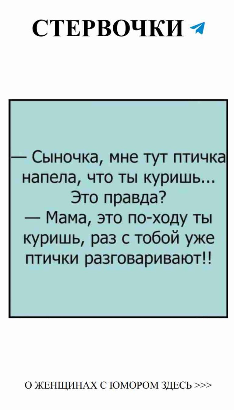 Смешные цитаты о любви и семейном счастье