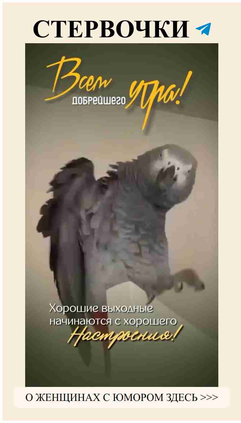 Смех и любовь: как найти идеального спутника жизни