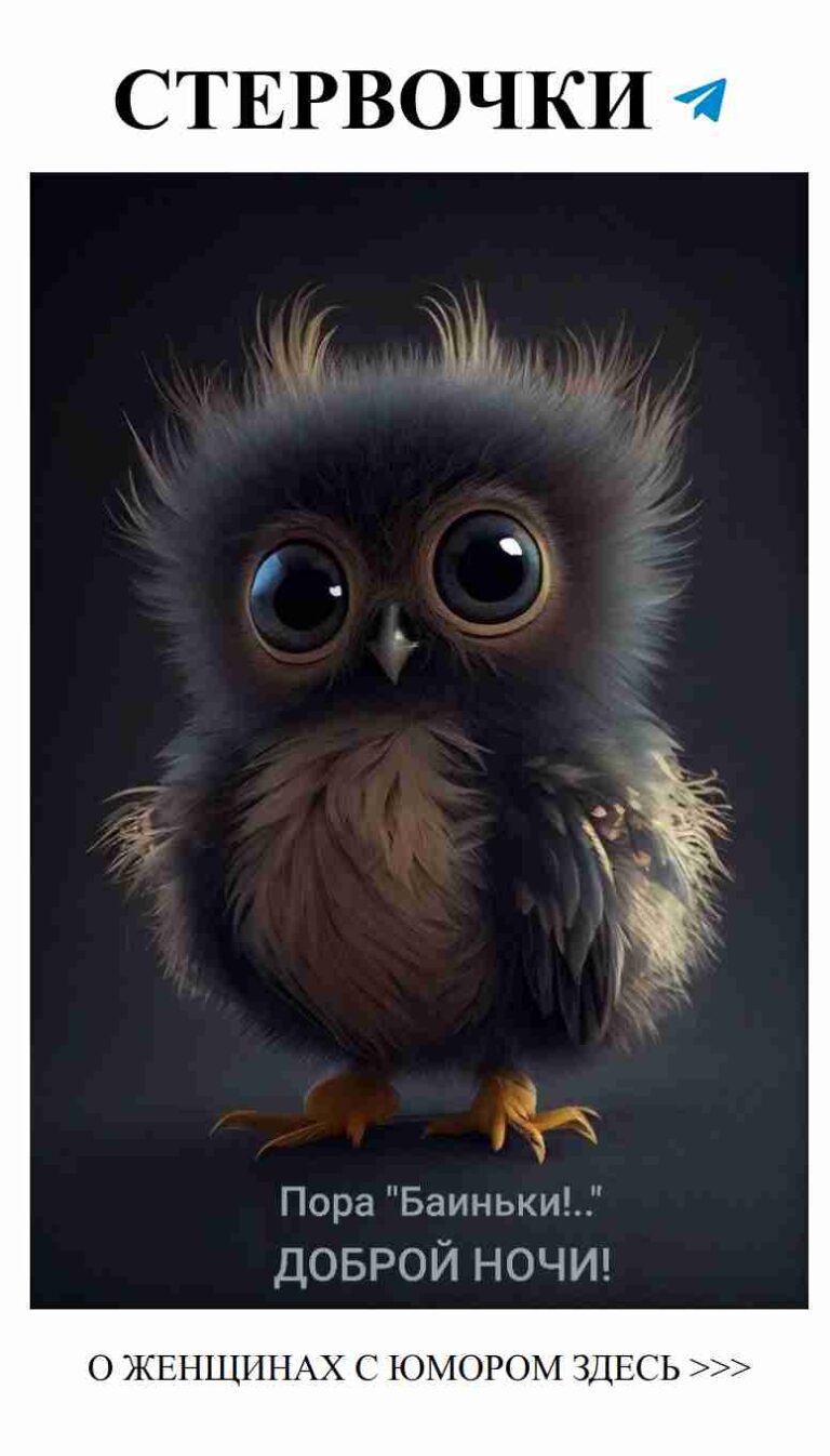 Очаровательная сова с мудростью любви и юмора