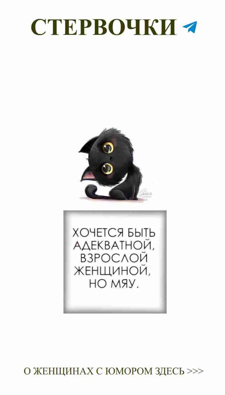 Смешные слова о любви: чёрная кошка и яркие эмоции