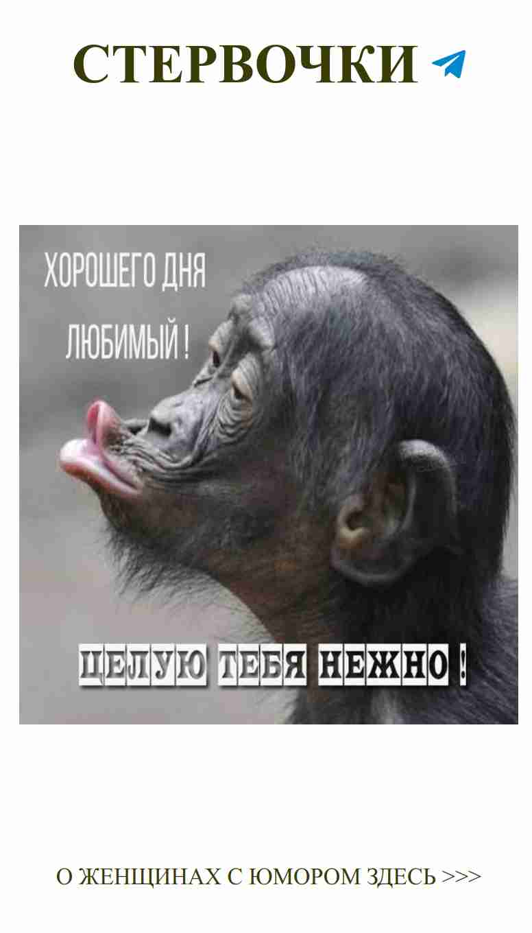 Смешные татуировки и любовь к жизни