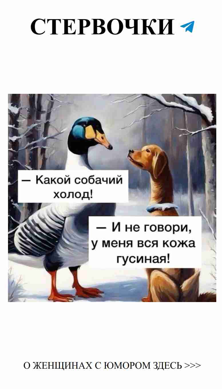 Любовь и смех: когда сердце улыбается искренне