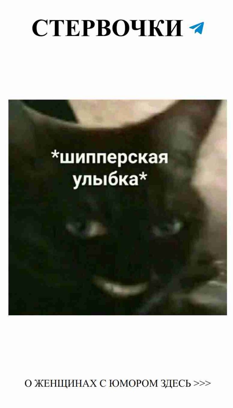 Чёрный кот с голубыми глазами ждет твоей любви