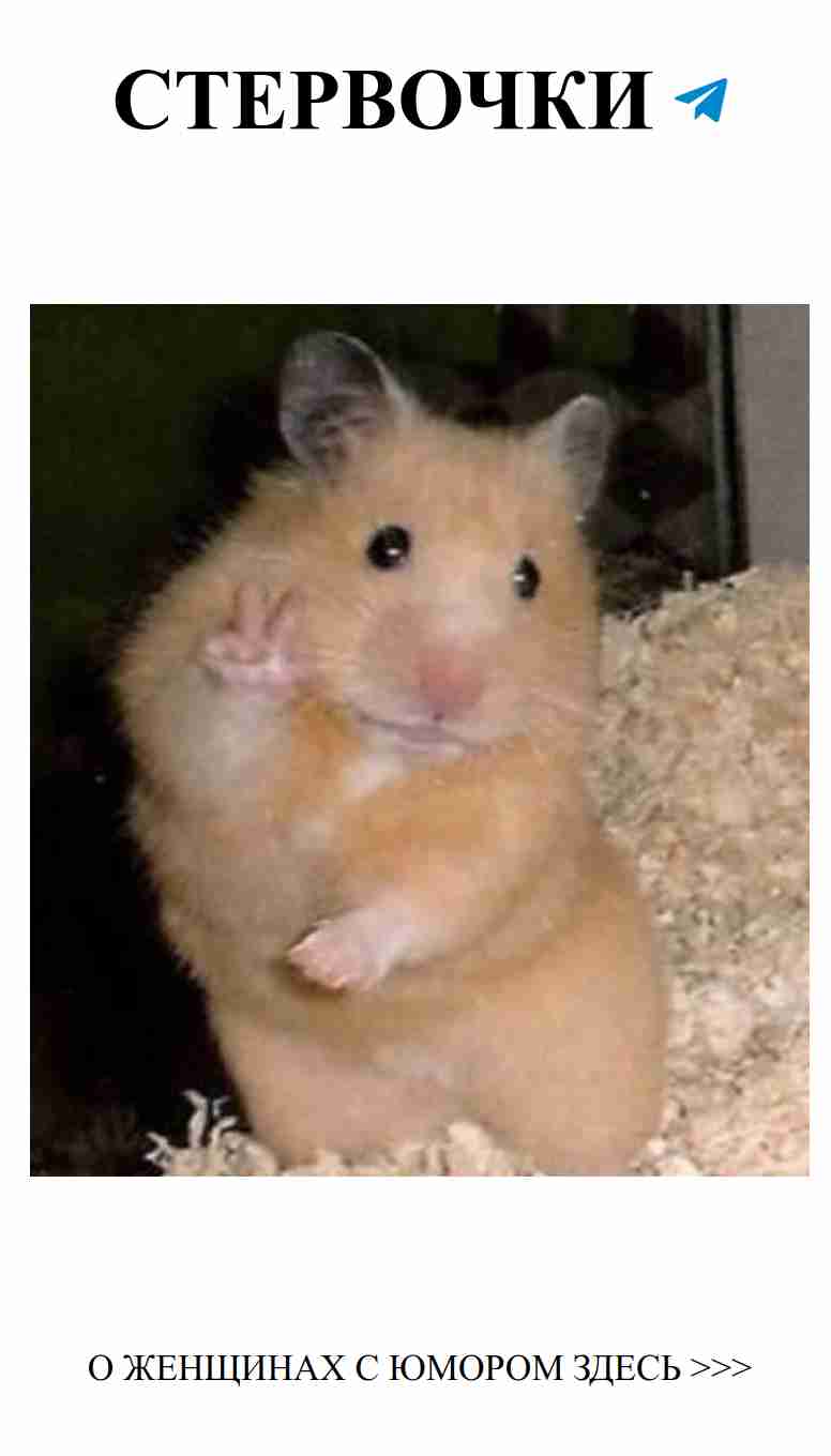 Когда любовь похожа на затейливого хомяка