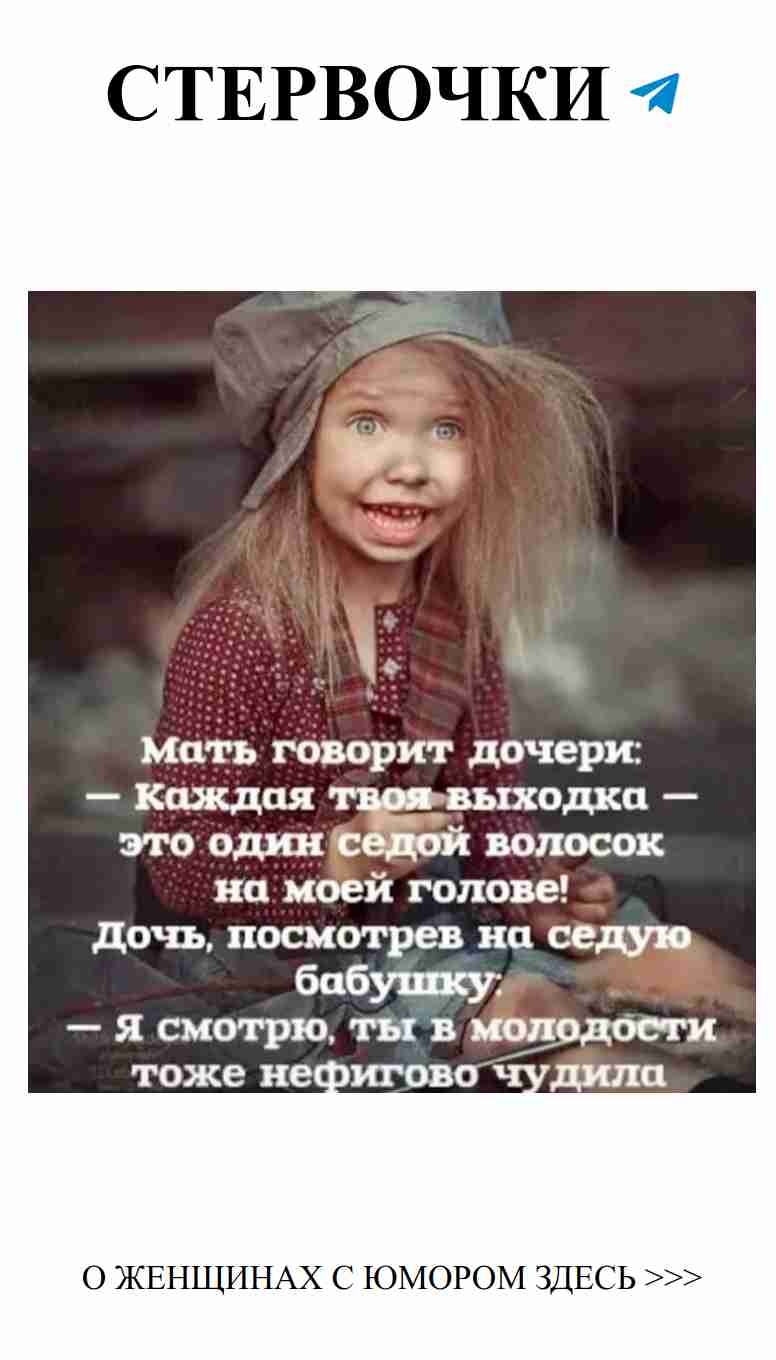 Любовь и юмор: Как животные дарят нам радость