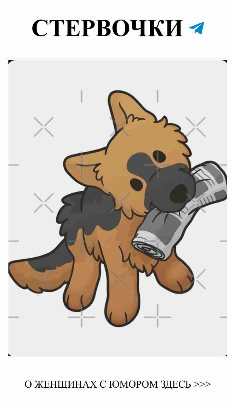 Любовь без фильтров: самые смешные истории о чувствах