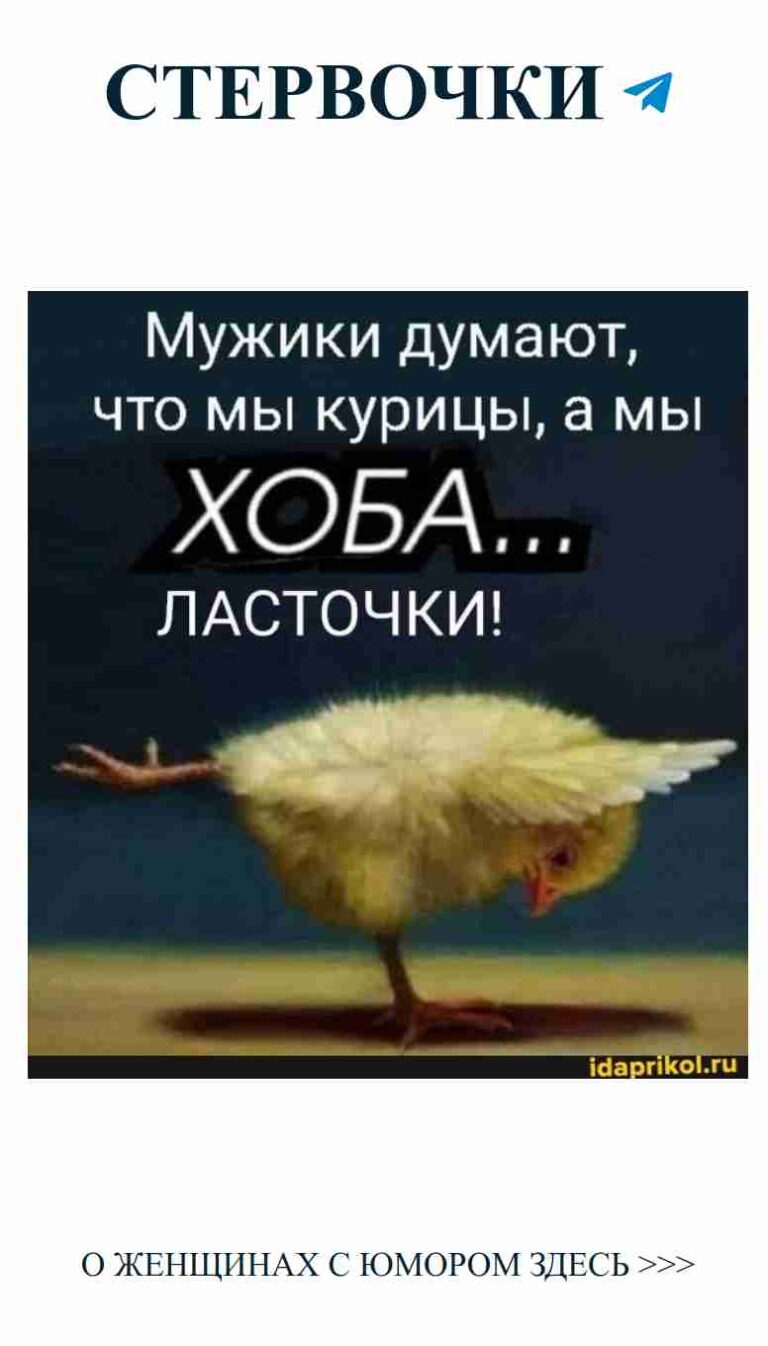 Смешные моменты о любви: цыпленок и женский юмор