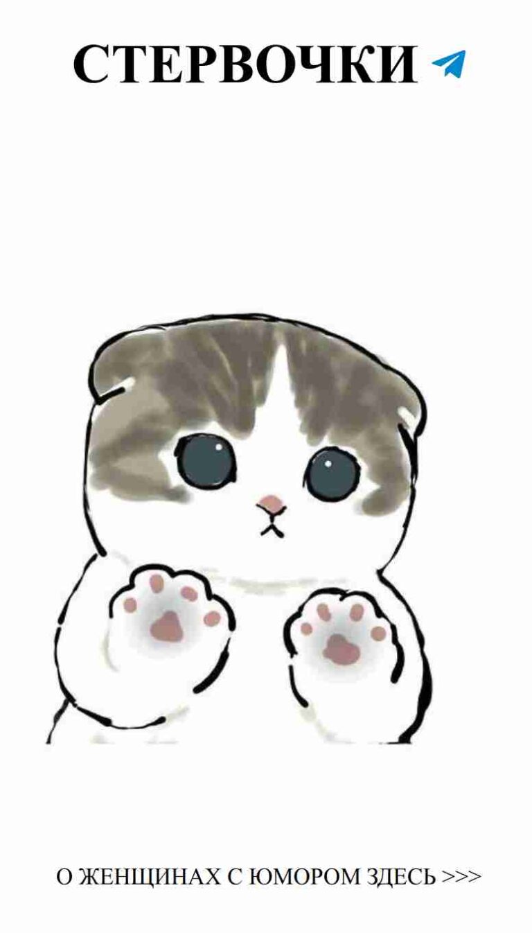 Нежные котята в любви: мимими на каждом шагу