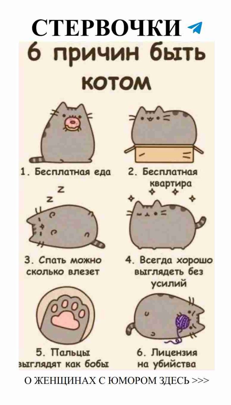 Самые смешные моменты любви для улыбки и радости